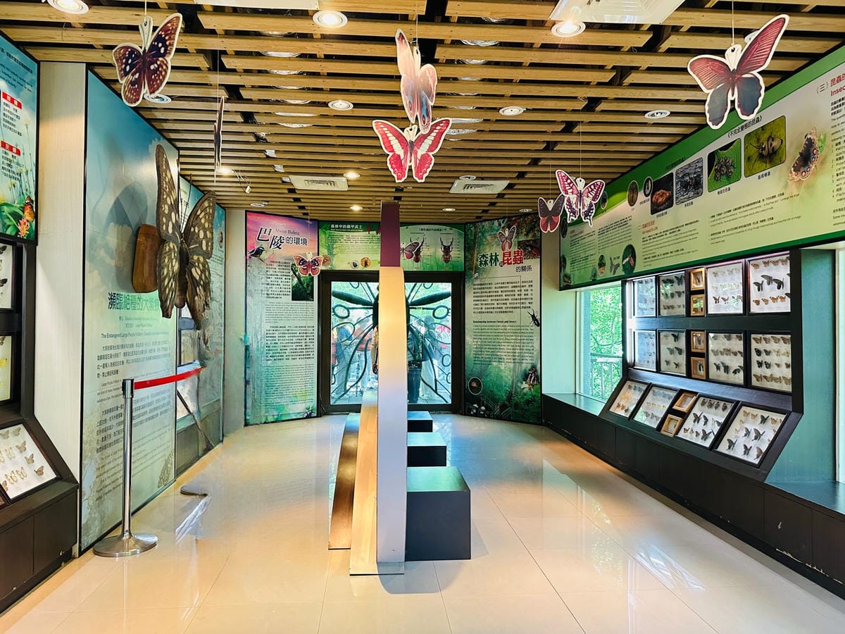 2025探索北橫必玩!「靜謐放鬆之旅-採果之旅」體驗分享水