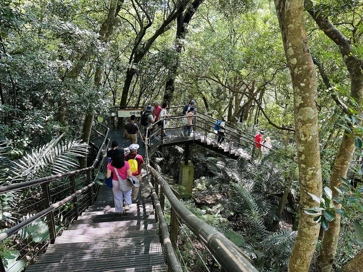 2025探索北橫必玩!「靜謐放鬆之旅-採果之旅」體驗分享水