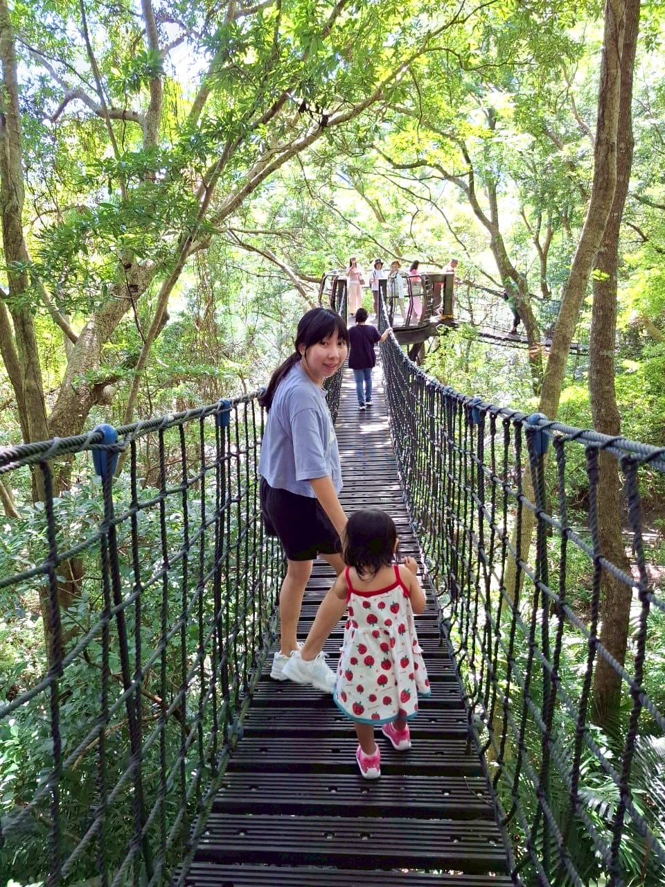 2025探索北橫必玩!「靜謐放鬆之旅-採果之旅」體驗分享水