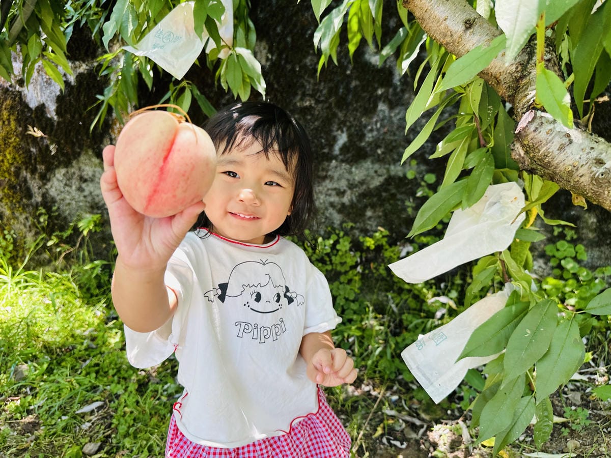 2025探索北橫必玩!「靜謐放鬆之旅-採果之旅」體驗分享水