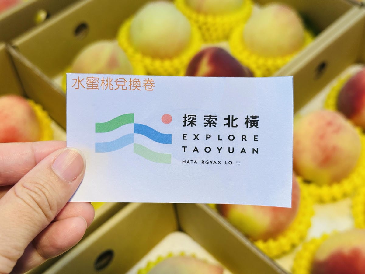 2025探索北橫必玩!「靜謐放鬆之旅-採果之旅」體驗分享水