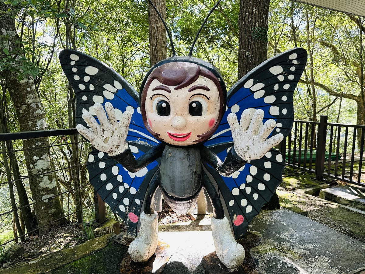 2025探索北橫必玩!「靜謐放鬆之旅-採果之旅」體驗分享水