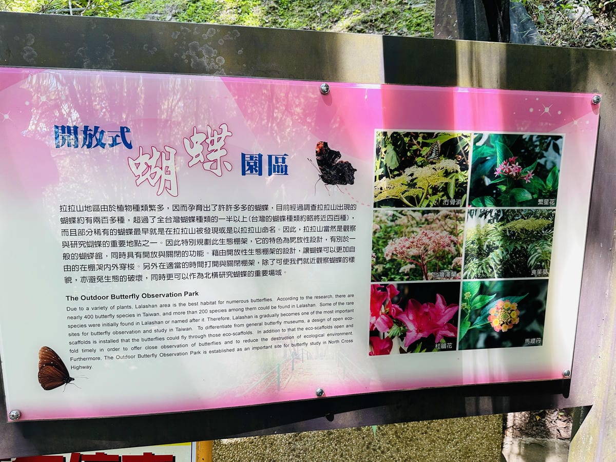 2025探索北橫必玩!「靜謐放鬆之旅-採果之旅」體驗分享水