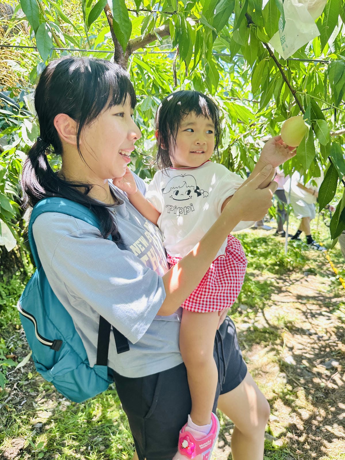 2025探索北橫必玩!「靜謐放鬆之旅-採果之旅」體驗分享水