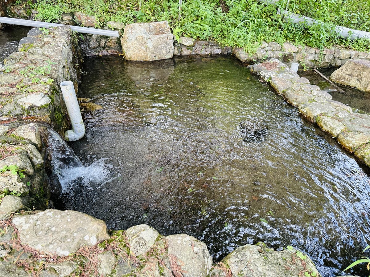 【鷗漫景觀農場露營區】宜蘭礁溪親子露營推薦!手作課程、生態導