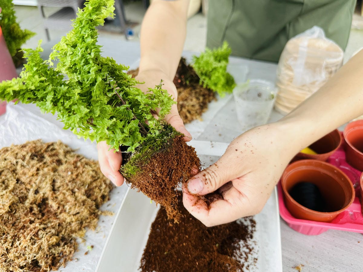 【鷗漫景觀農場露營區】宜蘭礁溪親子露營推薦!手作課程、生態導