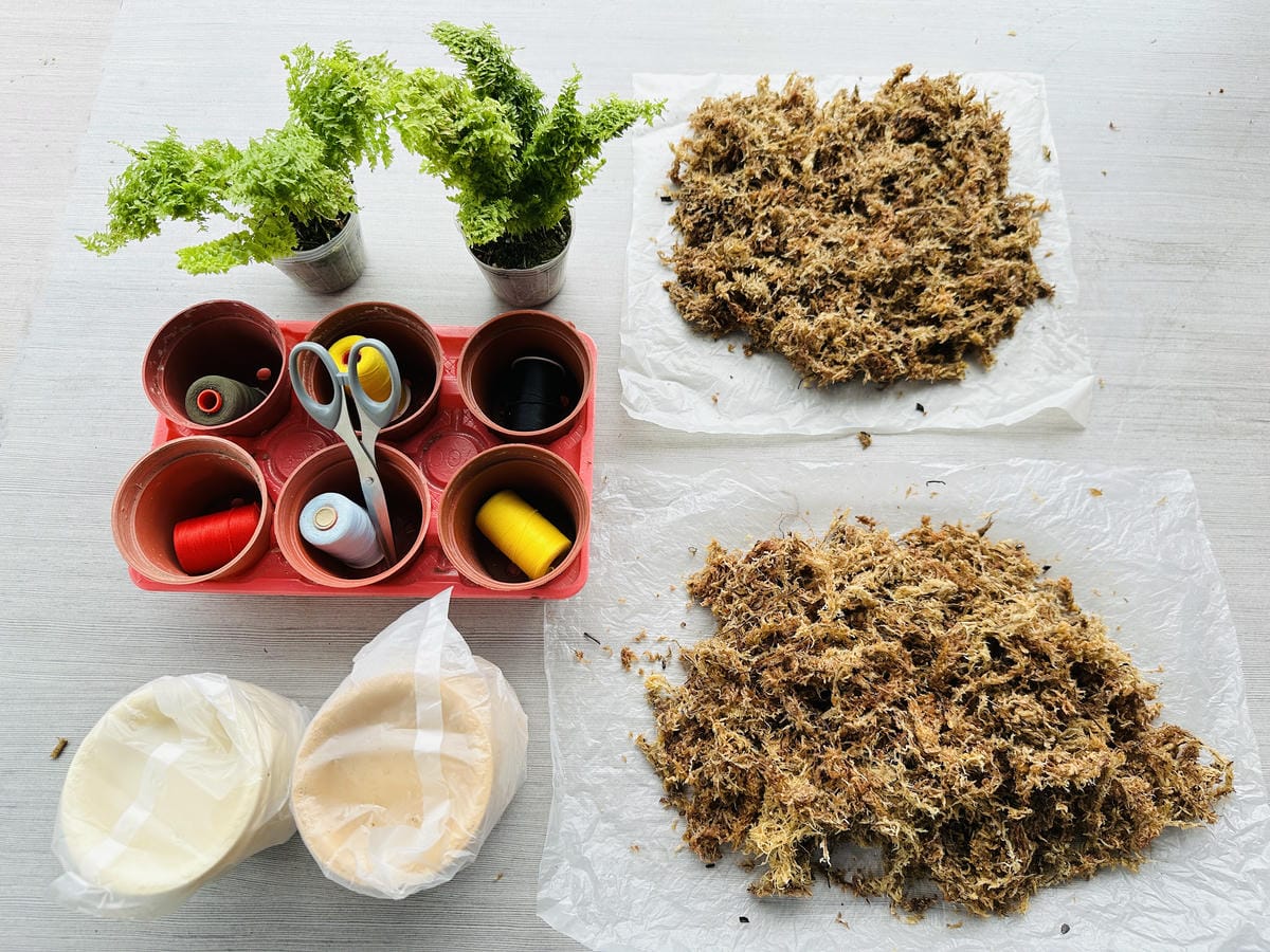 【鷗漫景觀農場露營區】宜蘭礁溪親子露營推薦!手作課程、生態導