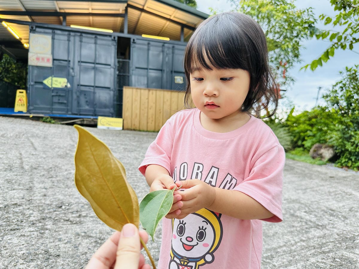 【鷗漫景觀農場露營區】宜蘭礁溪親子露營推薦!手作課程、生態導