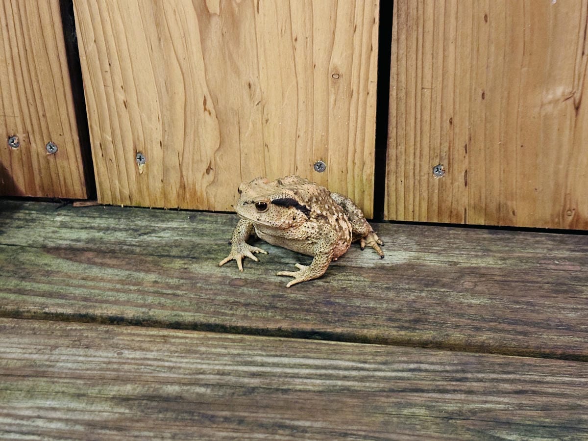 【鷗漫景觀農場露營區】宜蘭礁溪親子露營推薦!手作課程、生態導