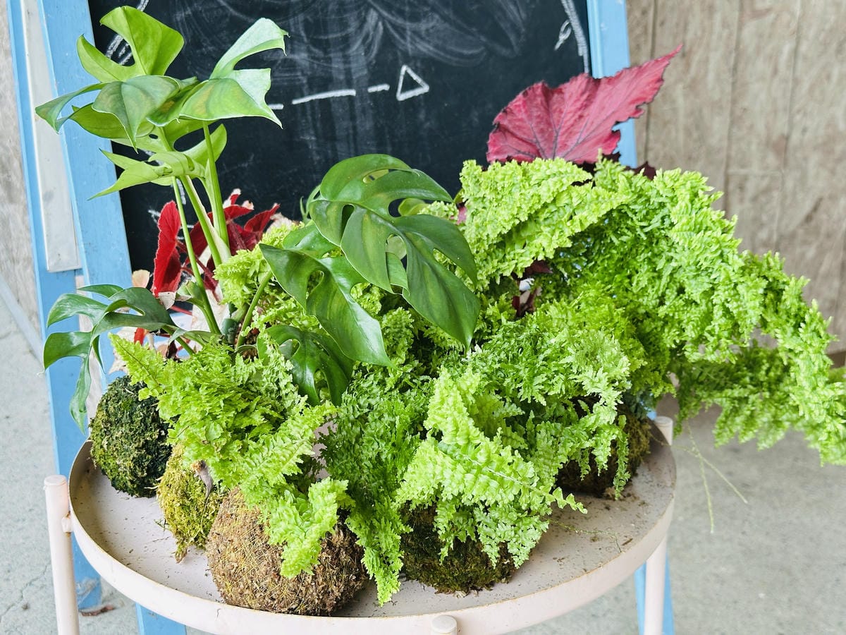 【鷗漫景觀農場露營區】宜蘭礁溪親子露營推薦!手作課程、生態導