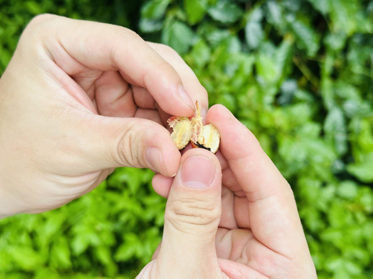 【鷗漫景觀農場露營區】宜蘭礁溪親子露營推薦!手作課程、生態導