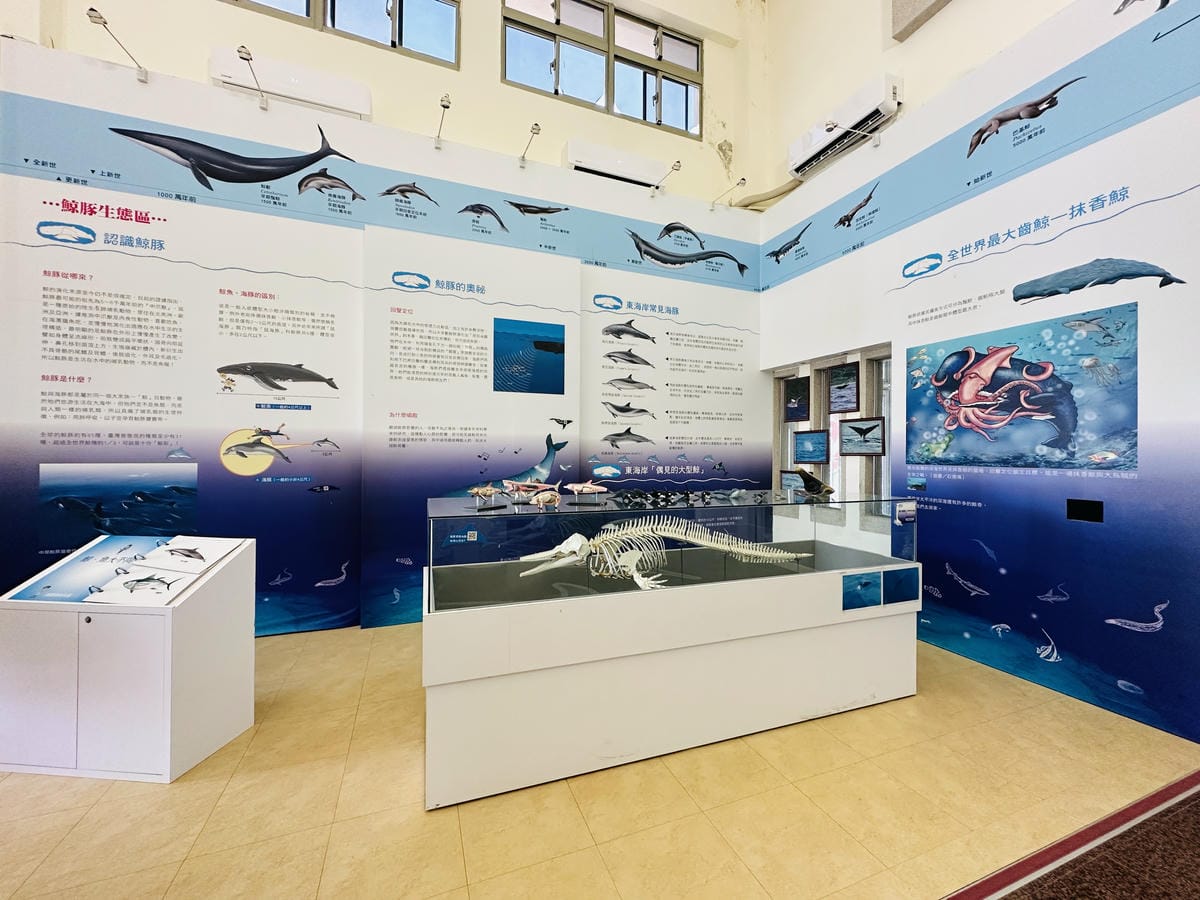 【台東成功綠島】體驗傳說中的藍色公路海上90分鐘輕旅行全