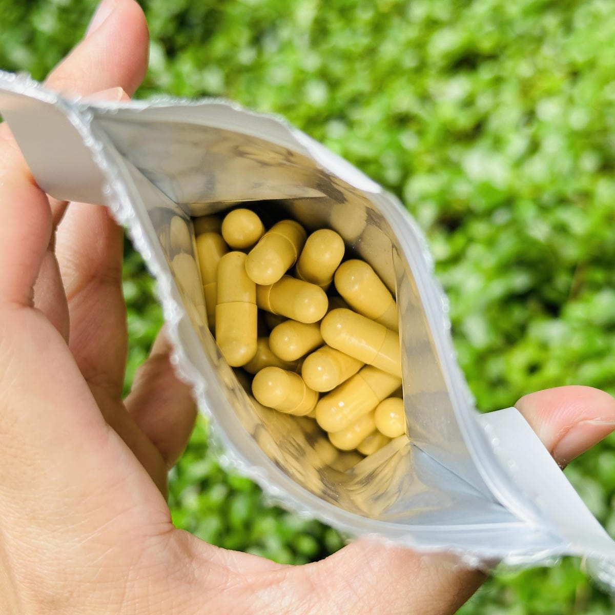 【卡蘿琳 Carloine】葉黃素蝦紅素評價忙碌媽媽如何兼