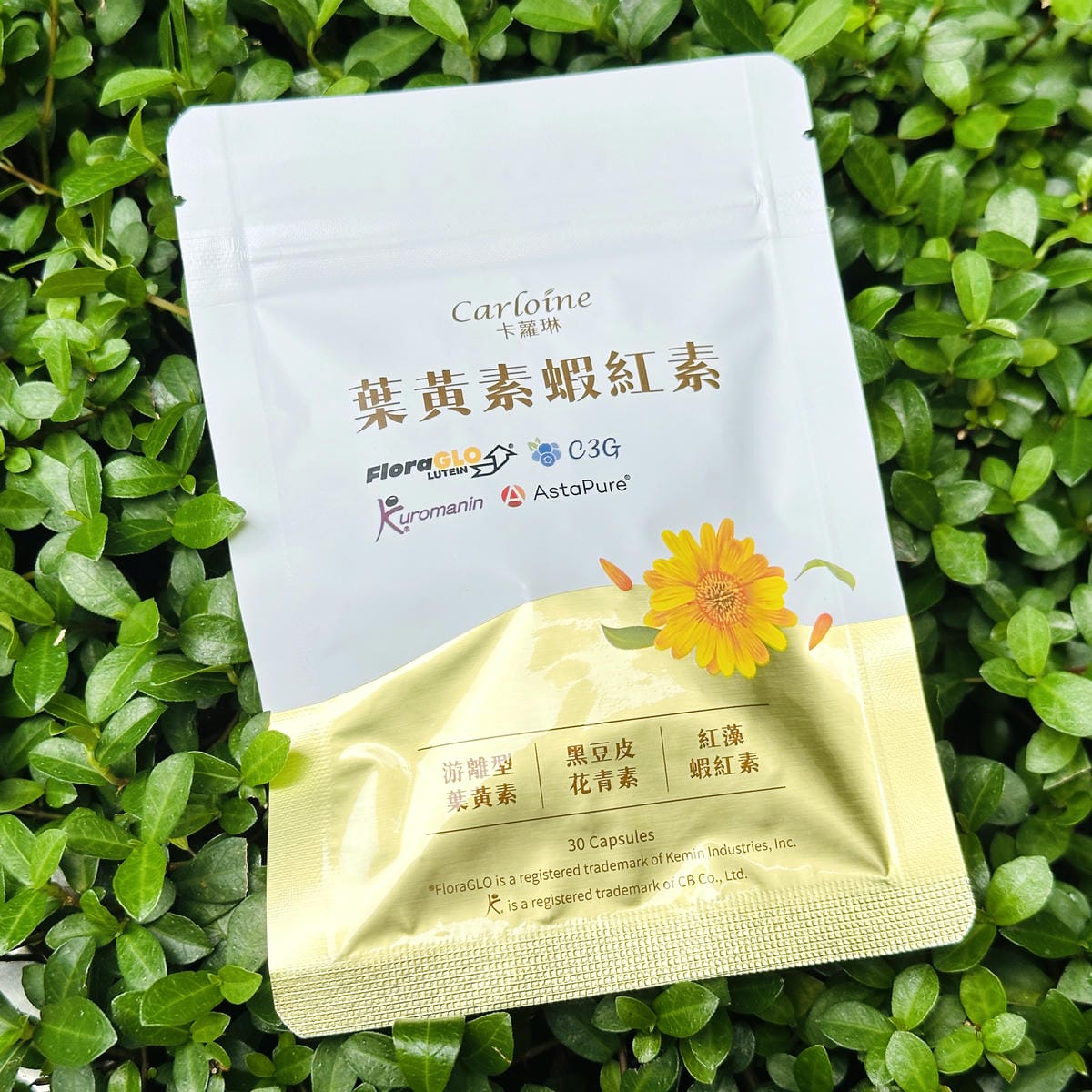 【卡蘿琳 Carloine】葉黃素蝦紅素評價忙碌媽媽如何兼