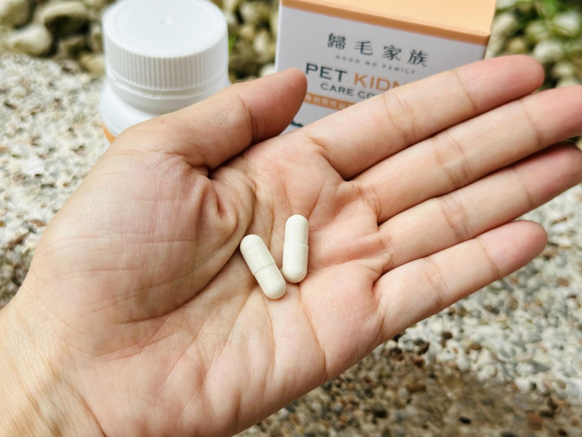 【歸毛家族】陪伴熟齡毛孩健康生活護腎寶+泌尿寶膠囊營養補給