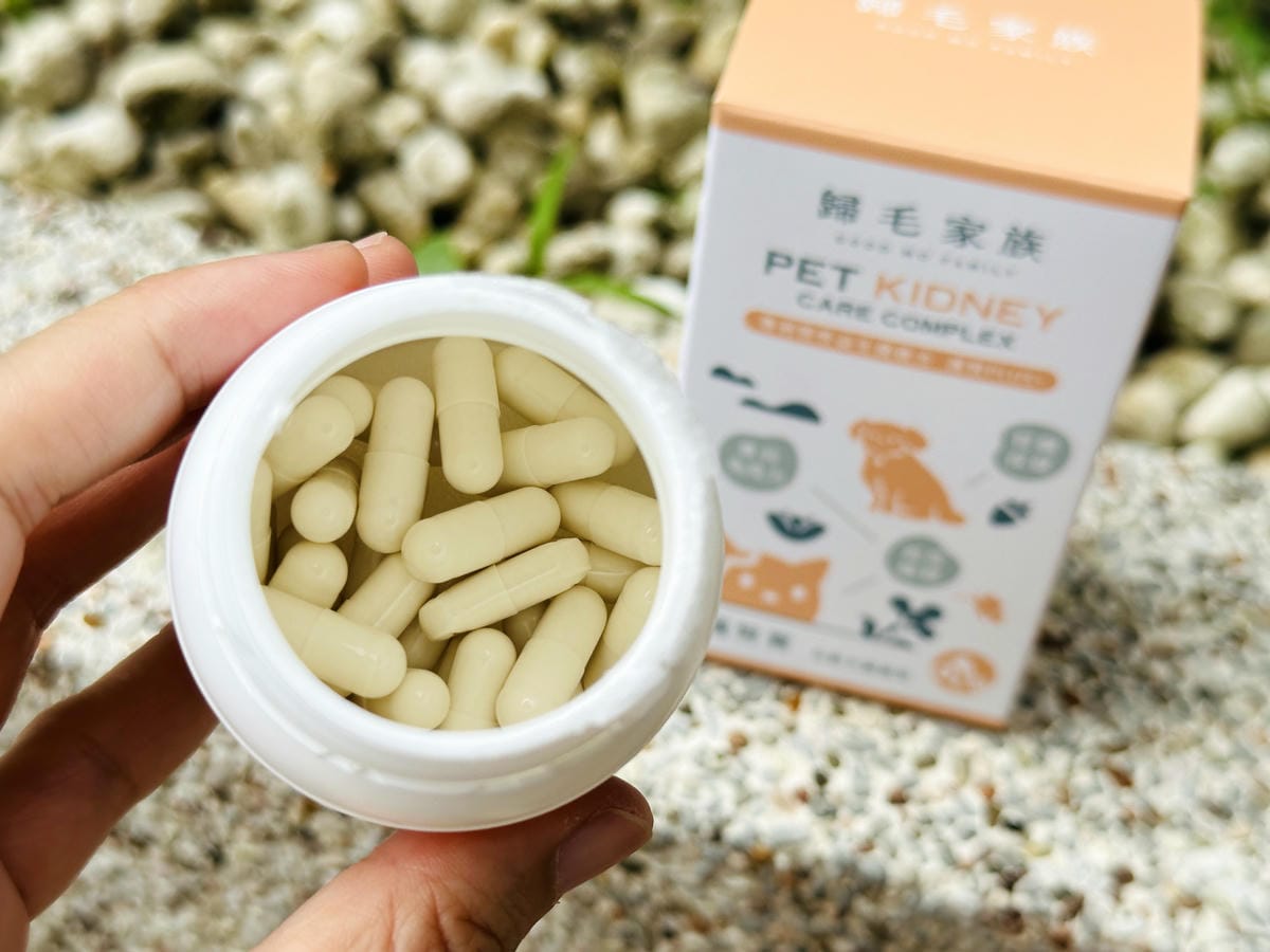 【歸毛家族】陪伴熟齡毛孩健康生活護腎寶+泌尿寶膠囊營養補給
