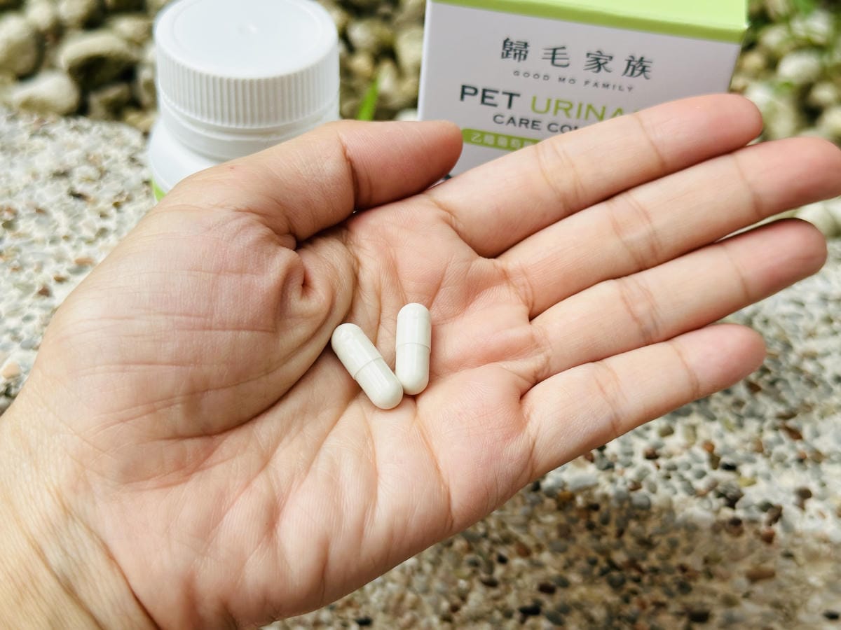 【歸毛家族】陪伴熟齡毛孩健康生活護腎寶+泌尿寶膠囊營養補給