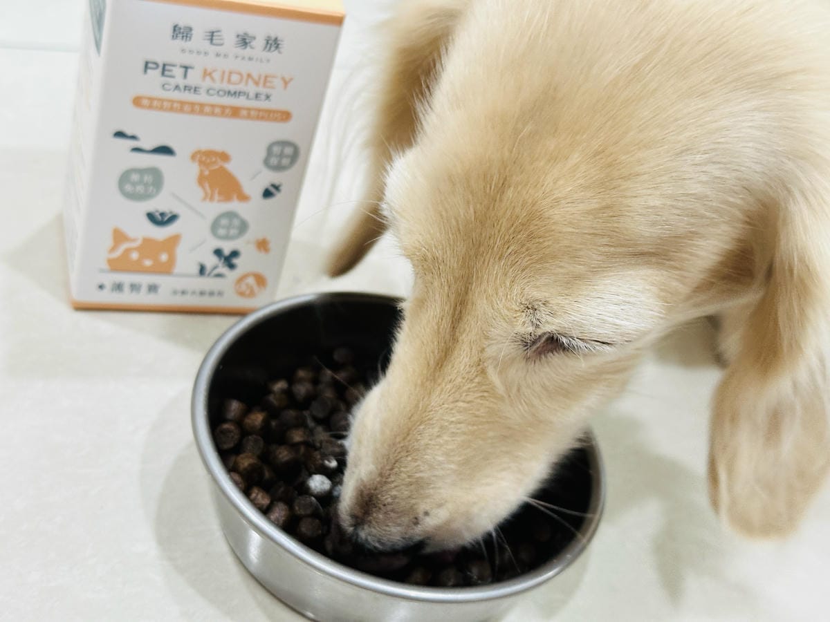 【歸毛家族】陪伴熟齡毛孩健康生活護腎寶+泌尿寶膠囊營養補給