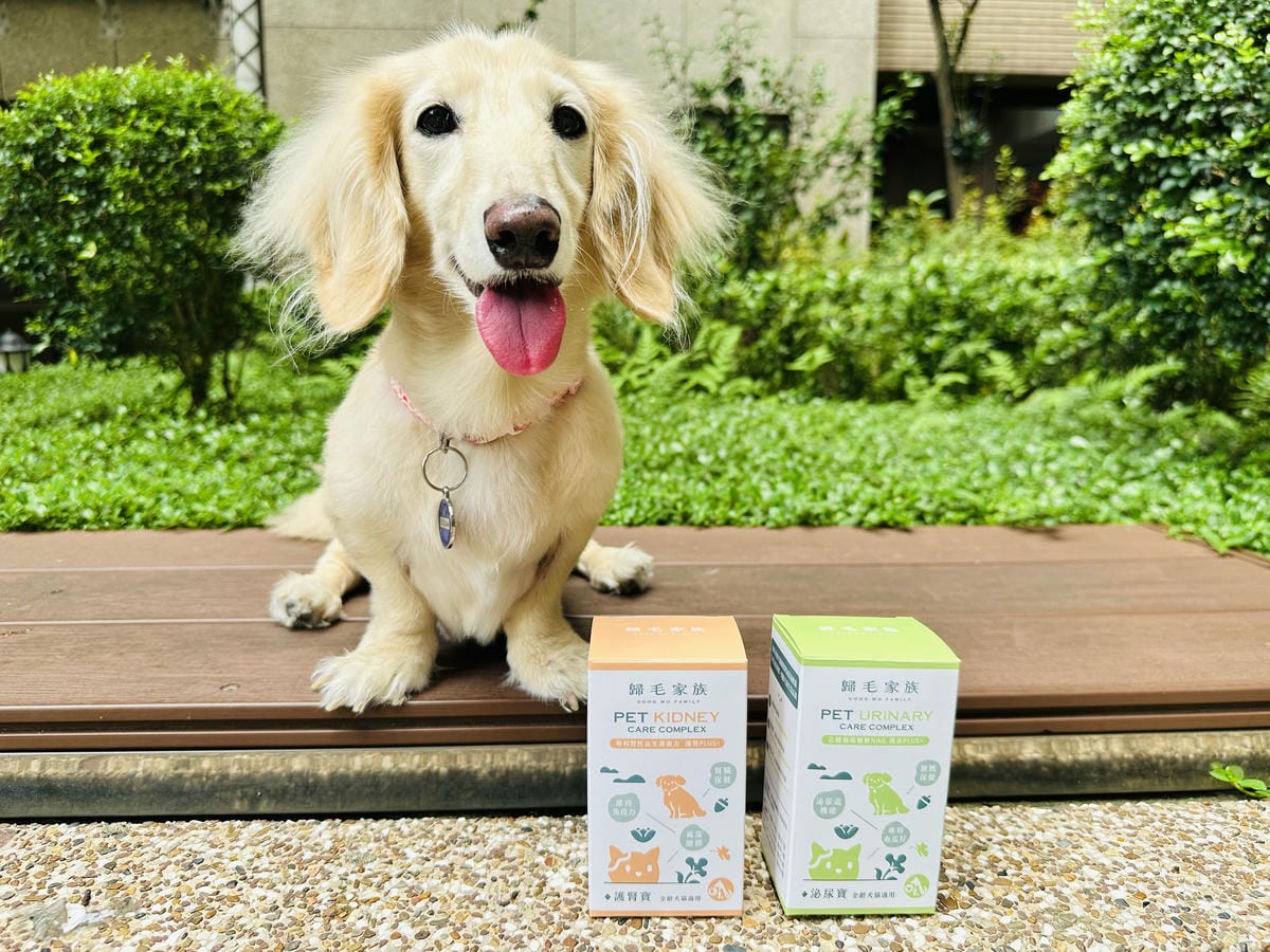 【歸毛家族】陪伴熟齡毛孩健康生活護腎寶+泌尿寶膠囊營養補給