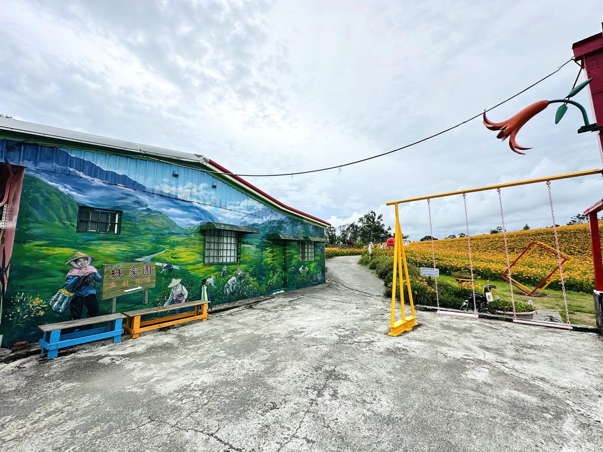 2025赤科山金針花季一日遊花海拍照秘境、窯燒金針體驗+加