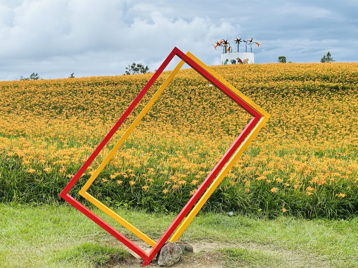 2025赤科山金針花季一日遊花海拍照秘境、窯燒金針體驗+加