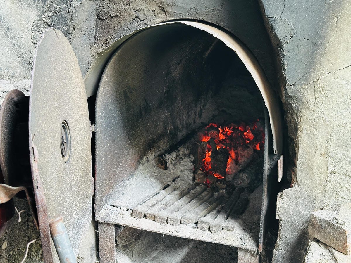 2025赤科山金針花季一日遊花海拍照秘境、窯燒金針體驗+加