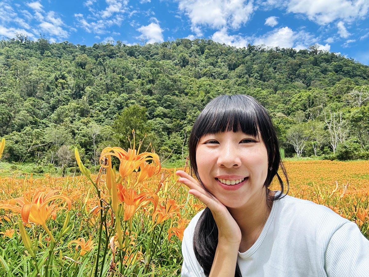 2025赤科山金針花季一日遊花海拍照秘境、窯燒金針體驗+加