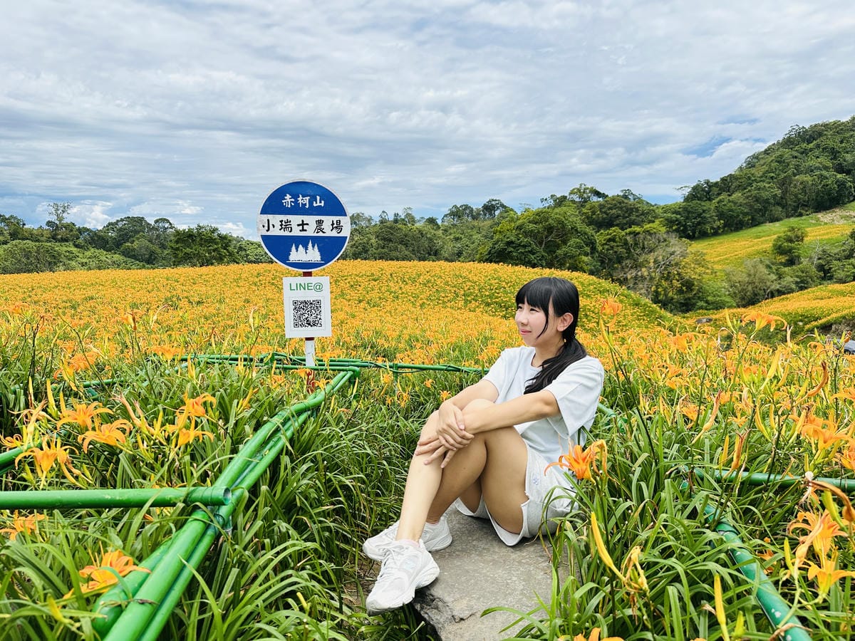 2025赤科山金針花季一日遊花海拍照秘境、窯燒金針體驗+加
