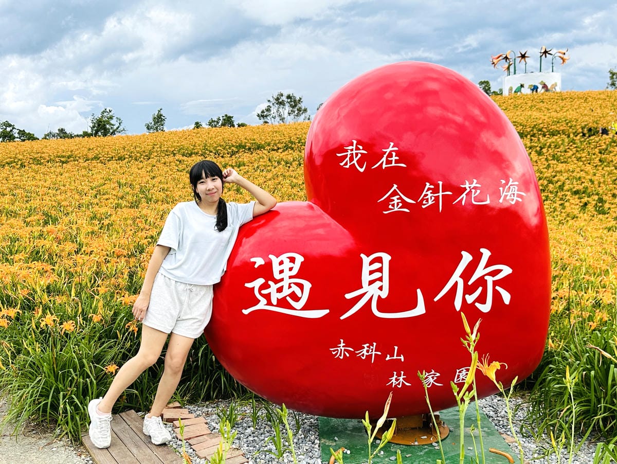 2025赤科山金針花季一日遊花海拍照秘境、窯燒金針體驗+加