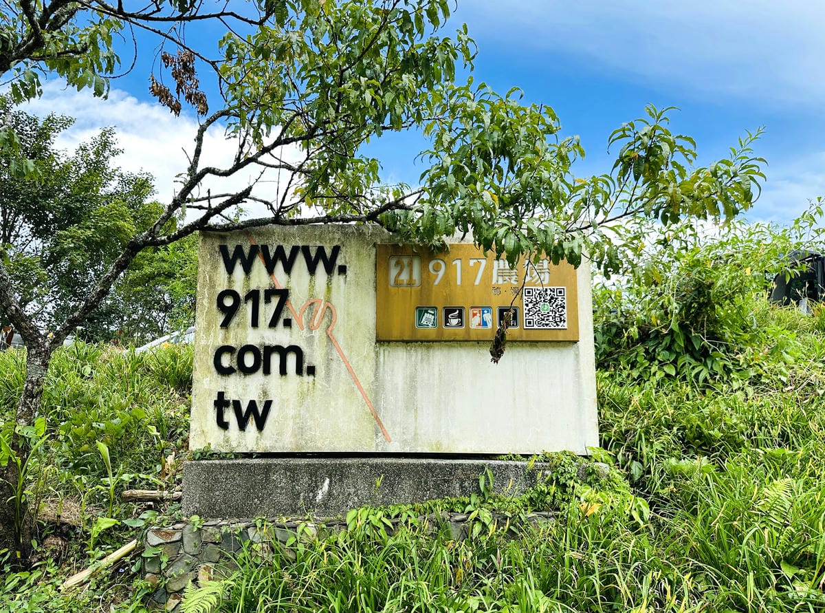 2025赤科山金針花季一日遊花海拍照秘境、窯燒金針體驗+加