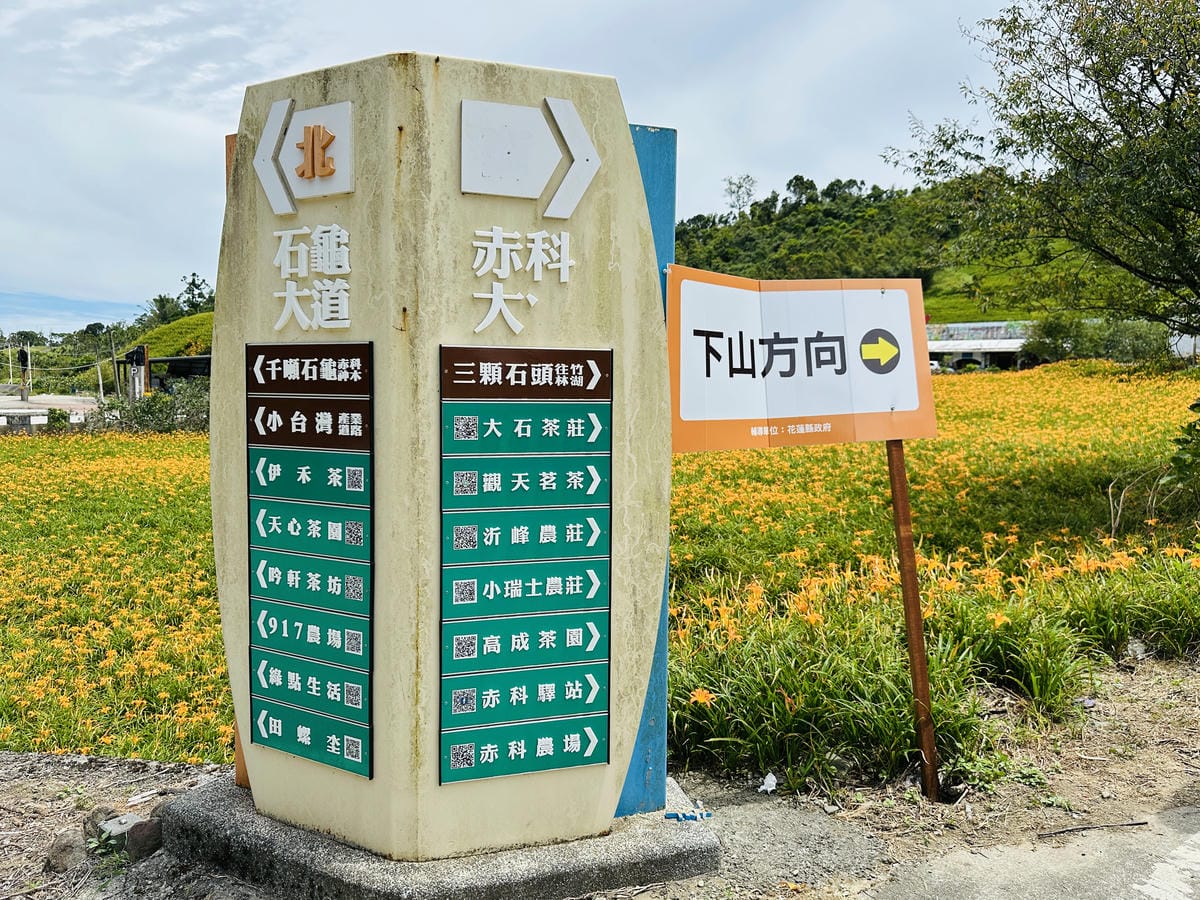 2025赤科山金針花季一日遊花海拍照秘境、窯燒金針體驗+加