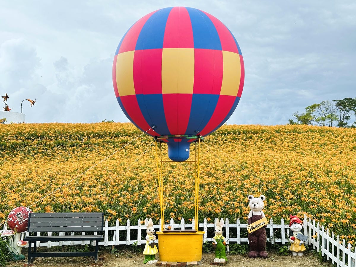 2025赤科山金針花季一日遊花海拍照秘境、窯燒金針體驗+加