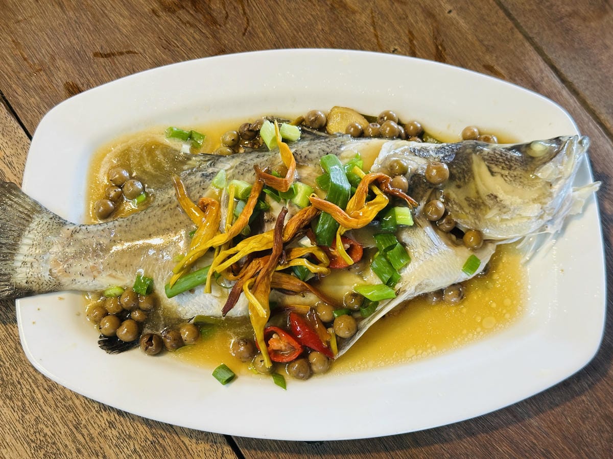 2025赤科山金針花季一日遊花海拍照秘境、窯燒金針體驗+加