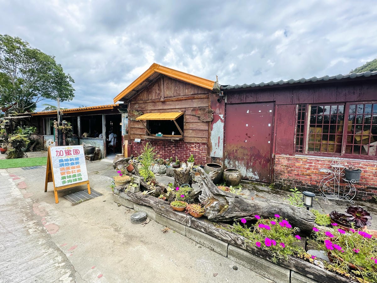 2025赤科山金針花季一日遊花海拍照秘境、窯燒金針體驗+加