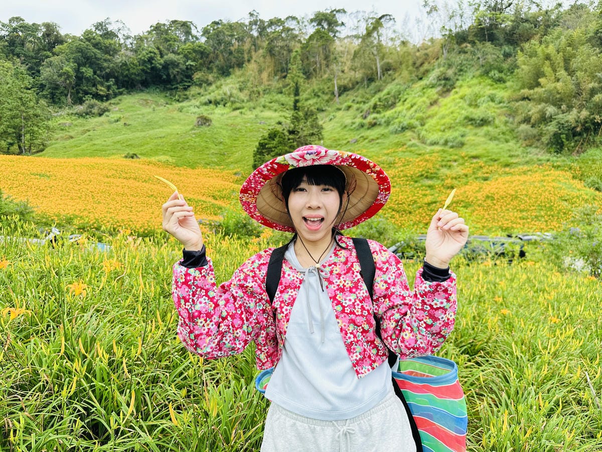 2025赤科山金針花季一日遊花海拍照秘境、窯燒金針體驗+加