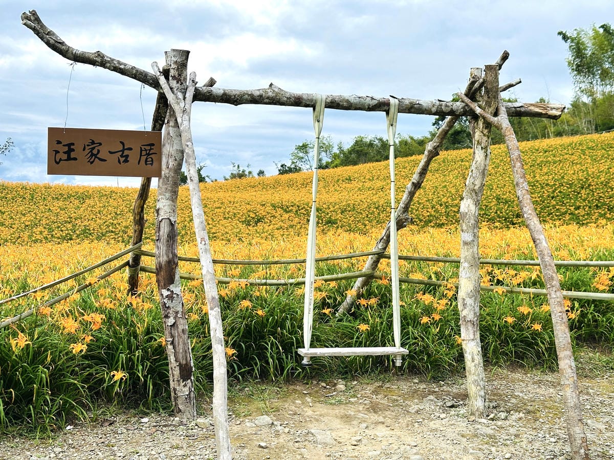 2025赤科山金針花季一日遊花海拍照秘境、窯燒金針體驗+加