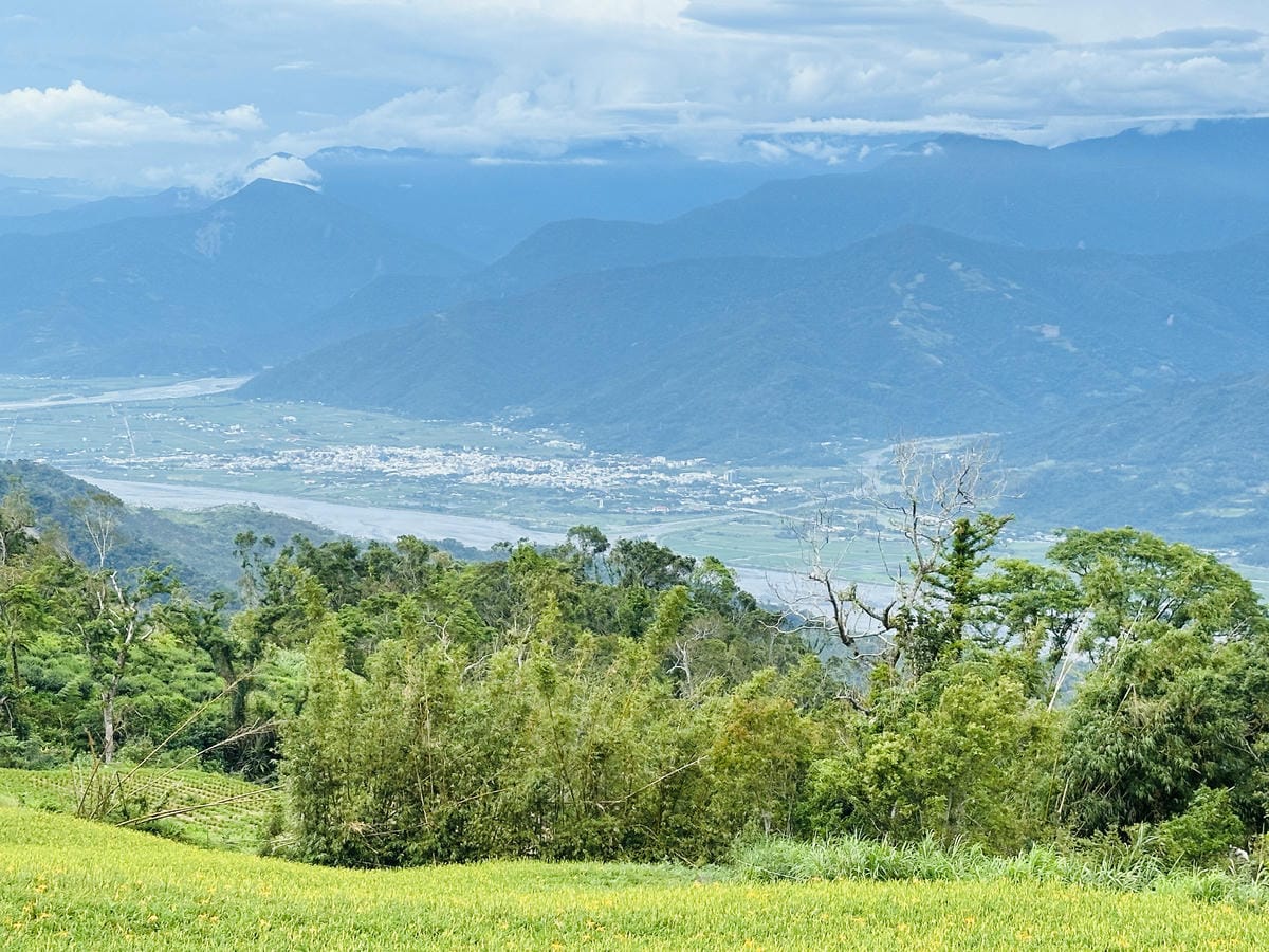 2025赤科山金針花季一日遊花海拍照秘境、窯燒金針體驗+加