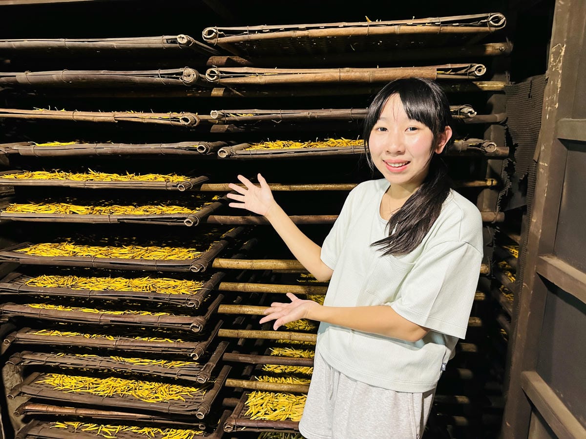 2025赤科山金針花季一日遊花海拍照秘境、窯燒金針體驗+加