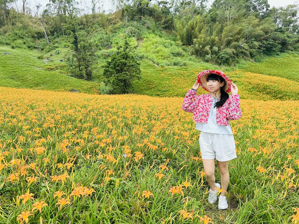 2025赤科山金針花季一日遊花海拍照秘境、窯燒金針體驗+加