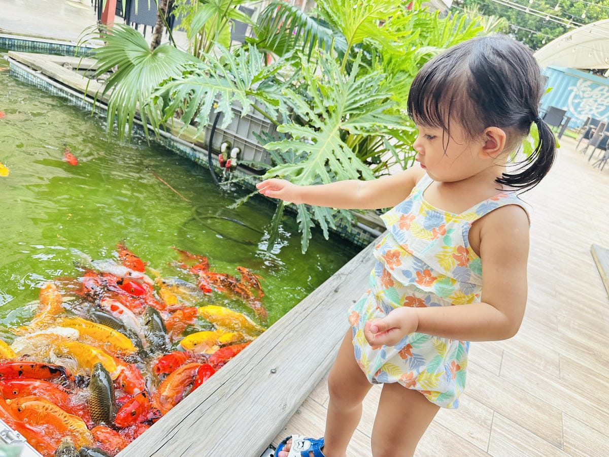 【哈比雪兒露營區】彰化懶人露營一泊三食免裝備,親子帳棚住宿