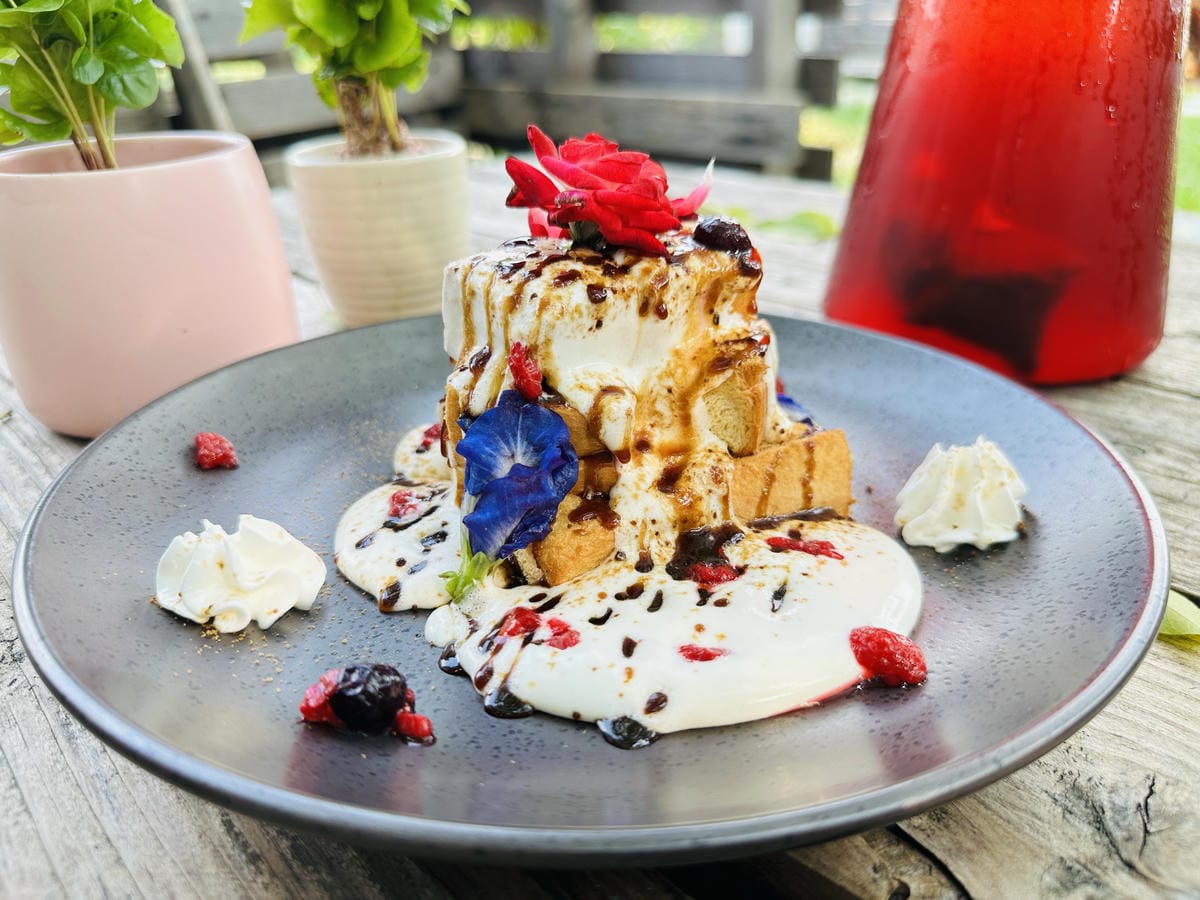 【哈比雪兒露營區】彰化懶人露營一泊三食免裝備,親子帳棚住宿