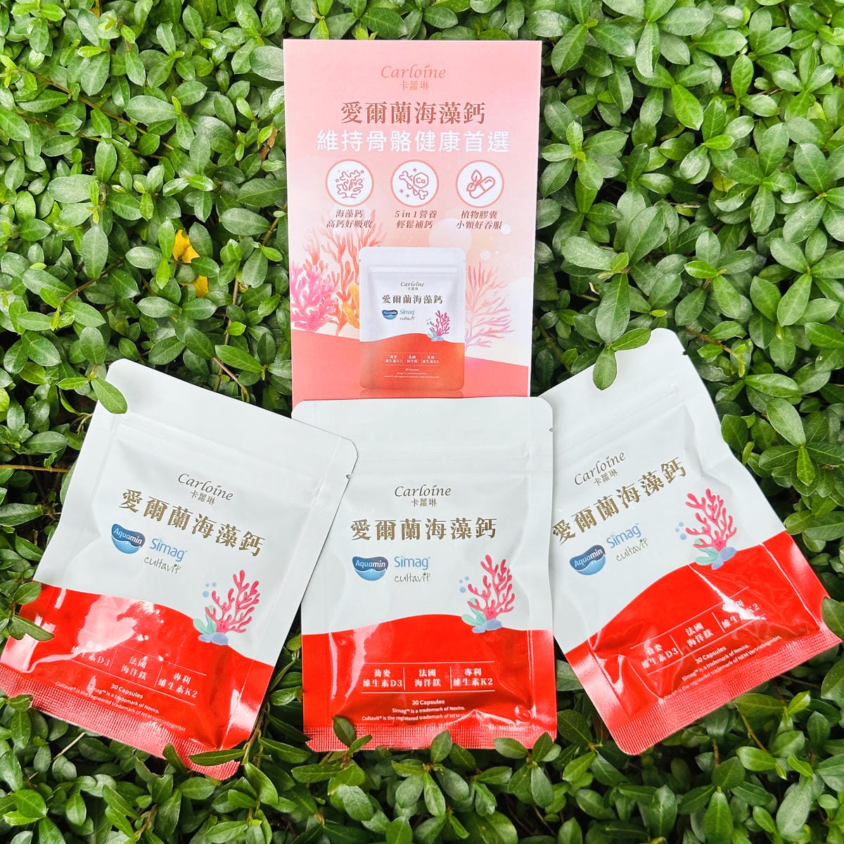 【卡蘿琳海藻鈣評價】每天咖啡不離手,鈣質流失怎麼補?我的海藻