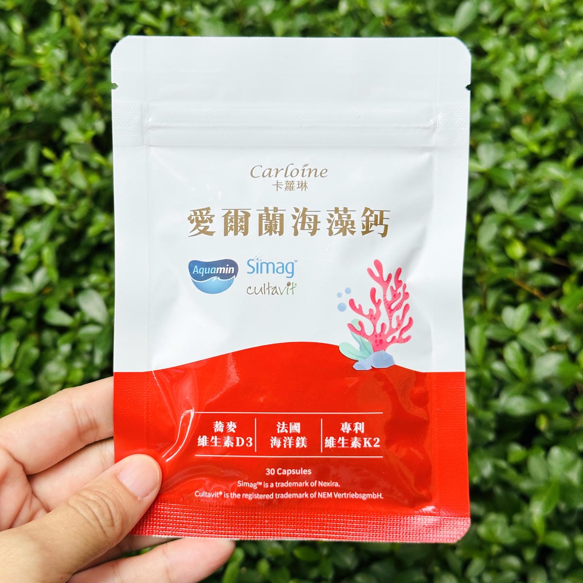 【卡蘿琳海藻鈣評價】每天咖啡不離手,鈣質流失怎麼補?我的海藻