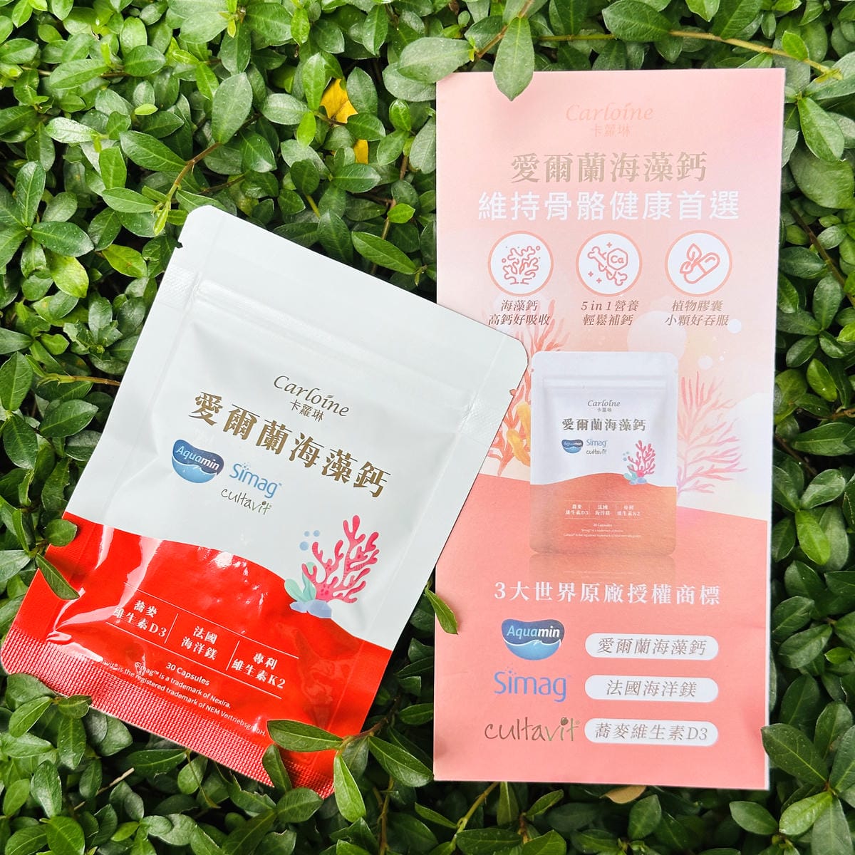 【卡蘿琳海藻鈣評價】每天咖啡不離手,鈣質流失怎麼補?我的海藻