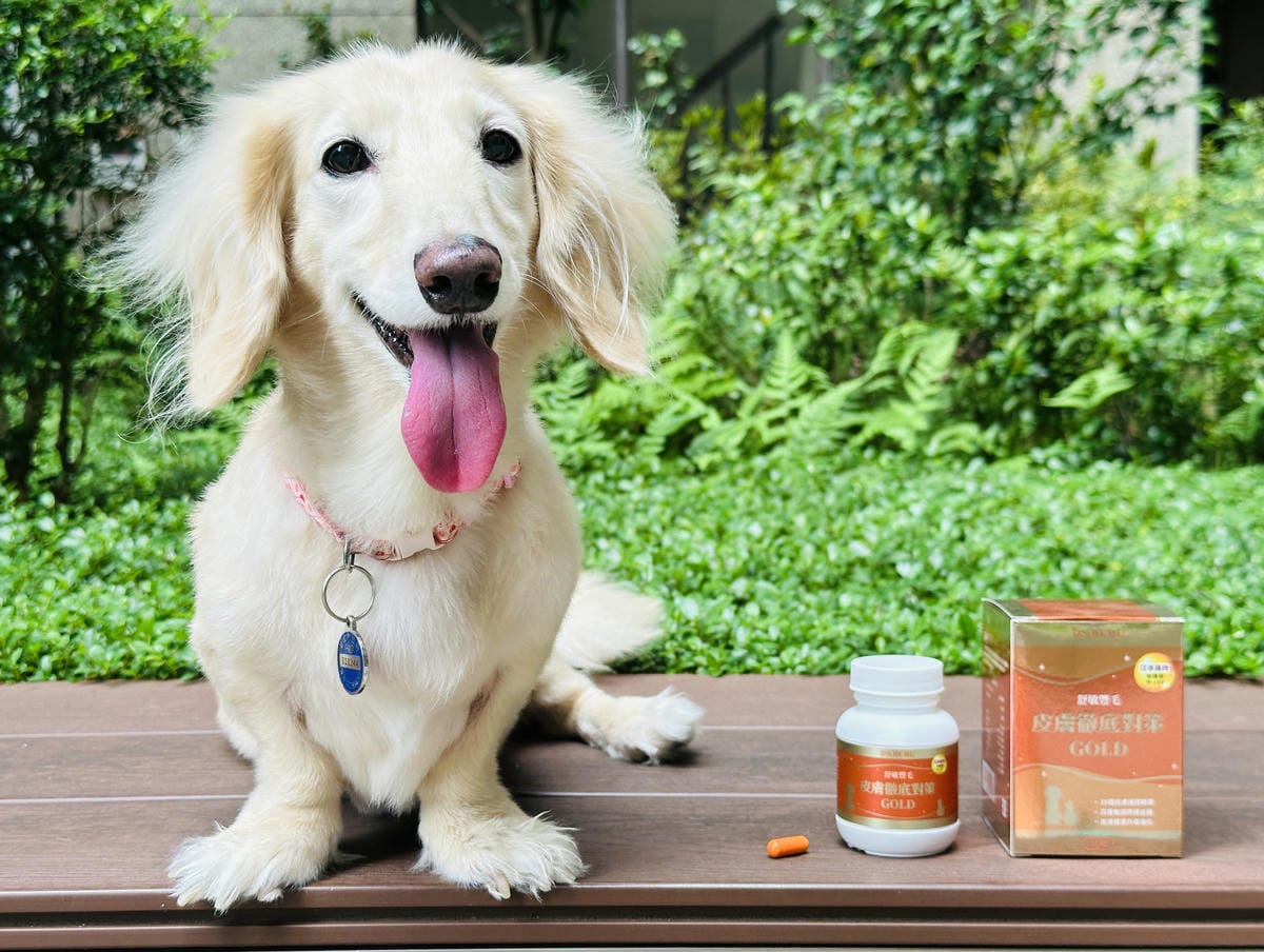 PSBUBU舒敏豐毛 GOLD獸醫師推薦的皮毛日常保養,陪