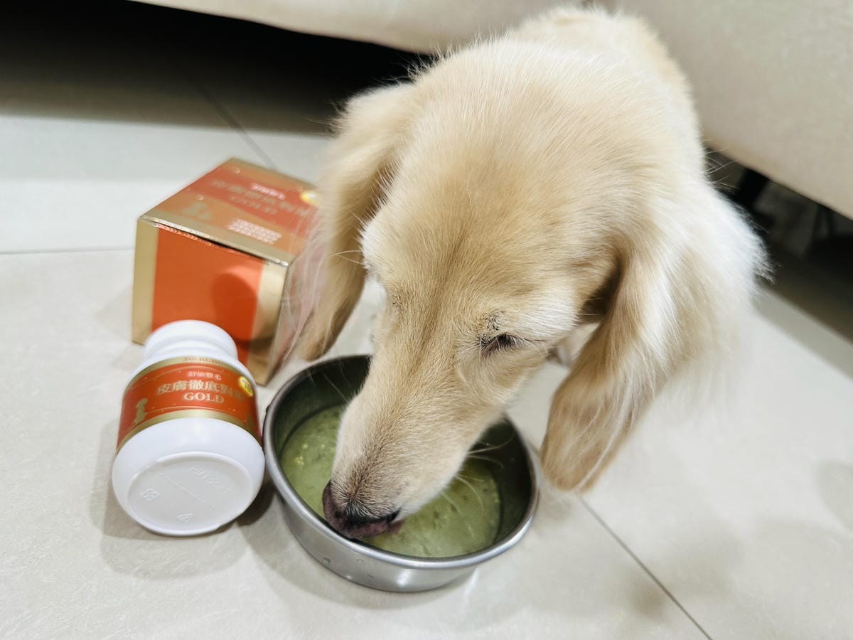 PSBUBU舒敏豐毛 GOLD獸醫師推薦的皮毛日常保養,陪