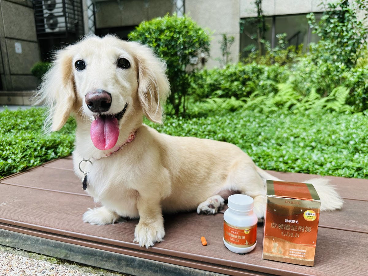 PSBUBU舒敏豐毛 GOLD獸醫師推薦的皮毛日常保養,陪