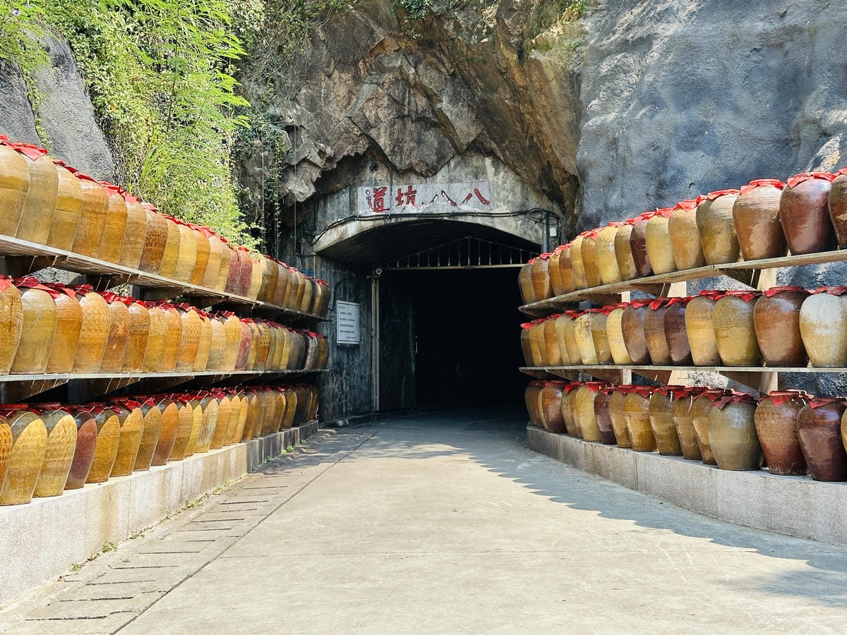 2025馬祖國際藝術島官方一日遊藍色創藝航線深度體驗攻略+