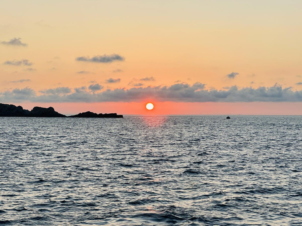 2025馬祖國際藝術島官方一日遊藍色創藝航線深度體驗攻略+