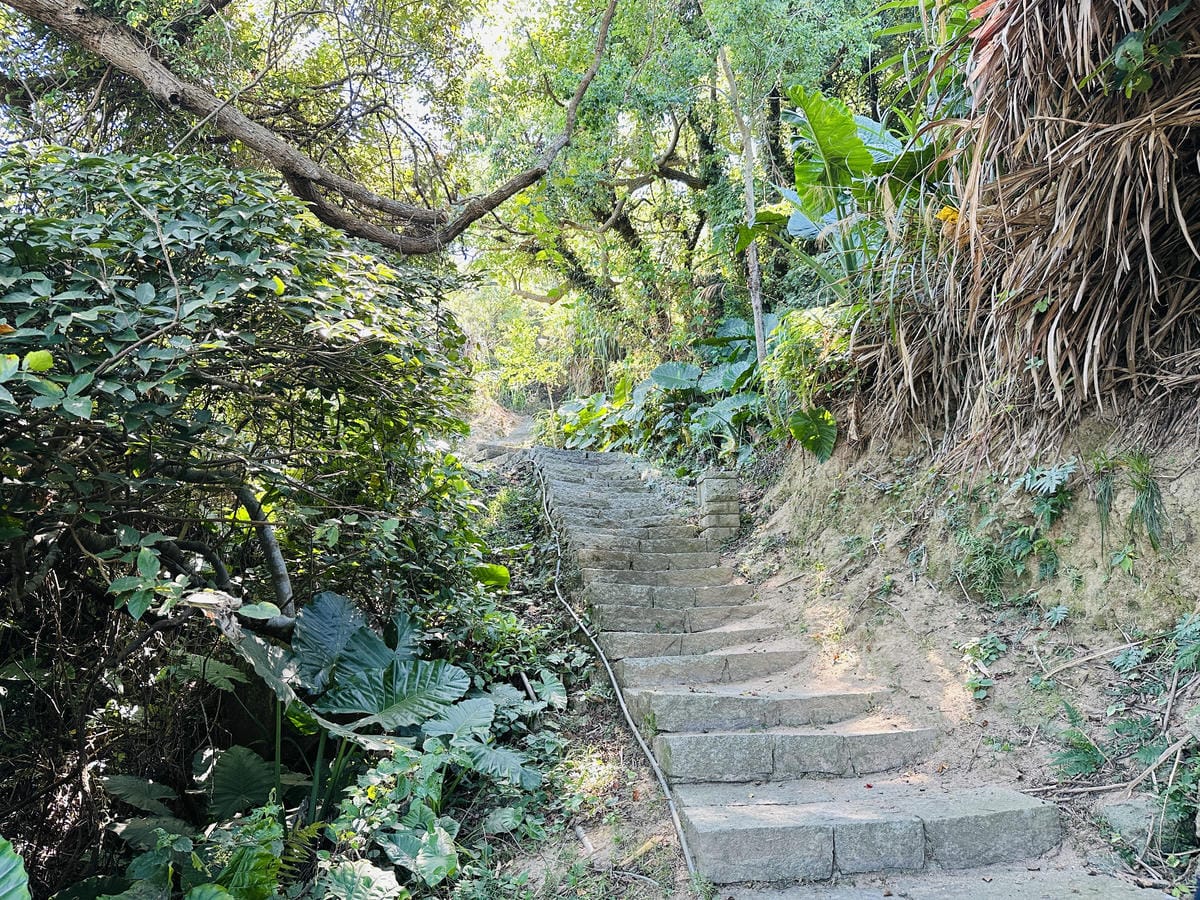 【2025馬祖漫島生活尋步馬祖GO! 踩點活動體驗】北竿芹